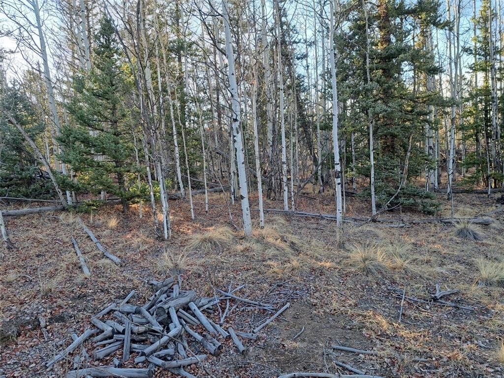 Picture 21