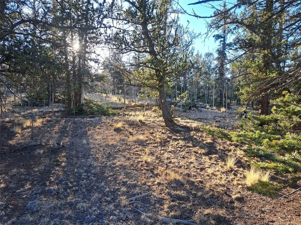 Picture 27