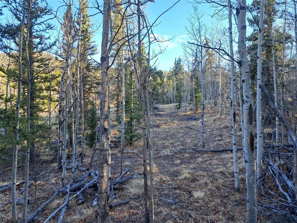 Picture 10