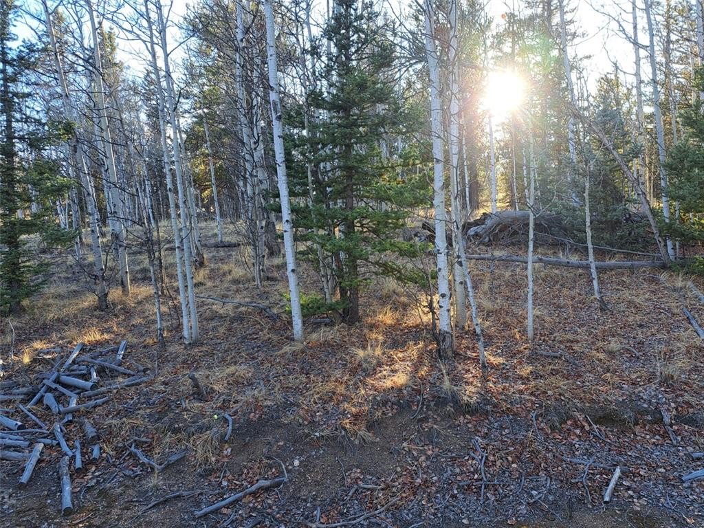 Picture 28