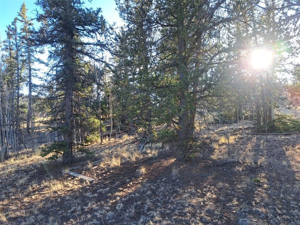 Picture 20