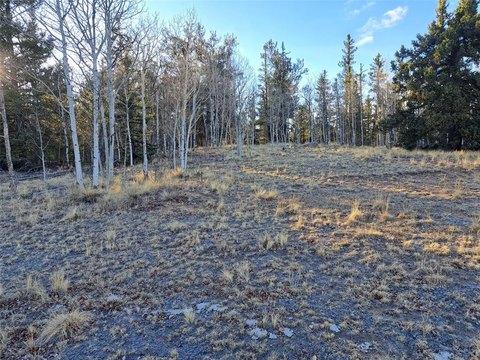 Treelined Lot in Indian Mountain