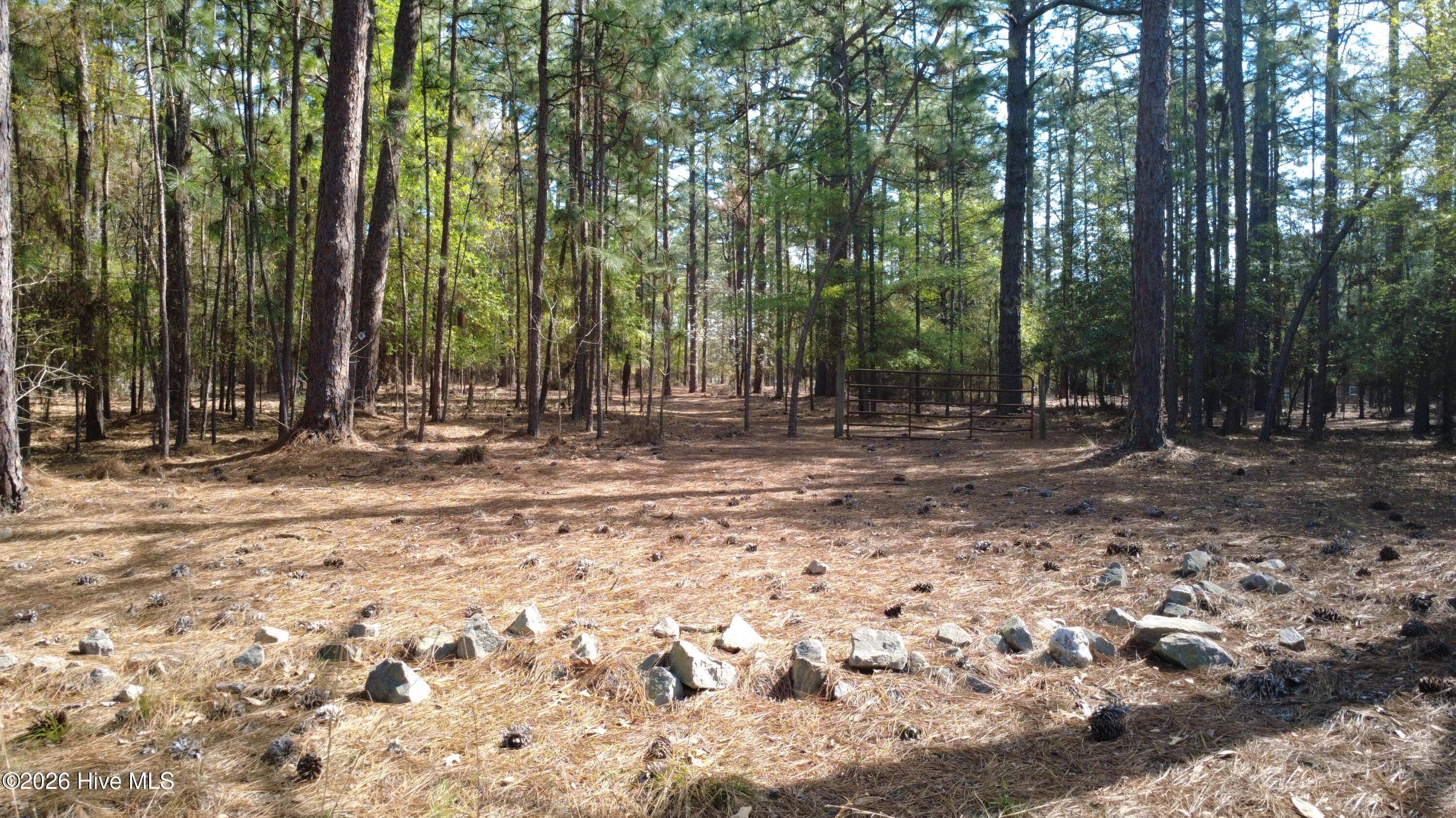 Pinehurst Wooded Acres Opportunity