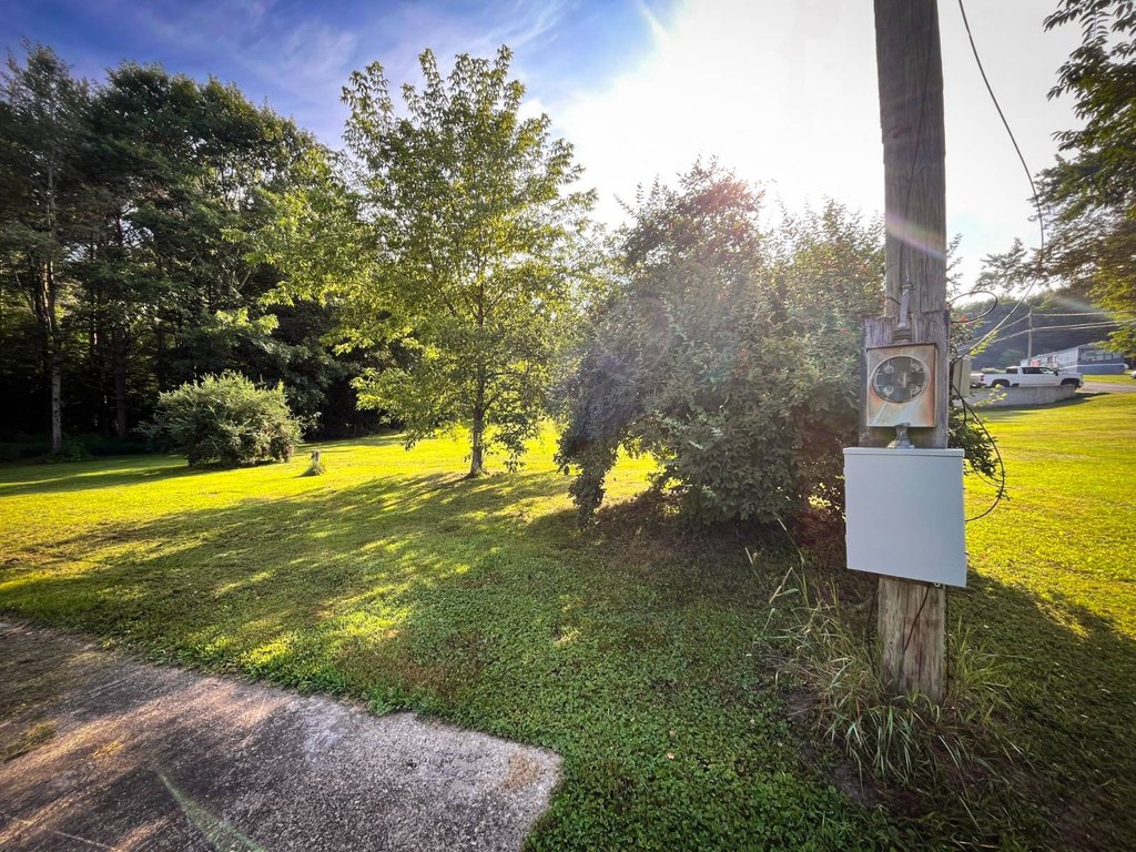 Picture 24