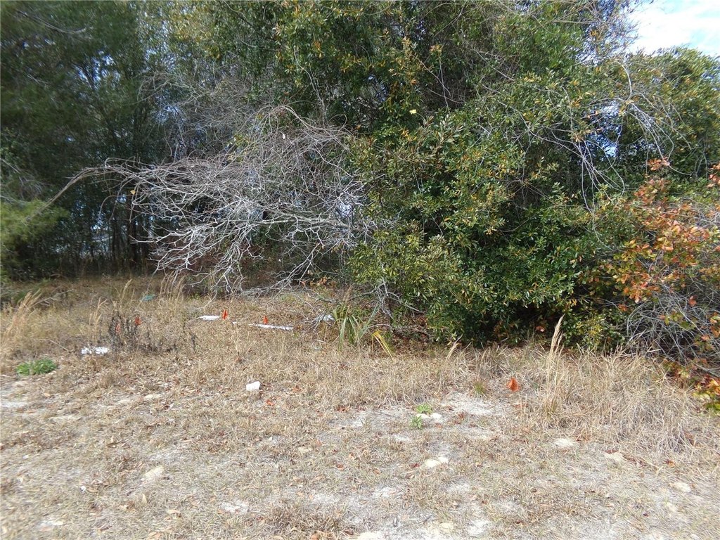 Picture 3