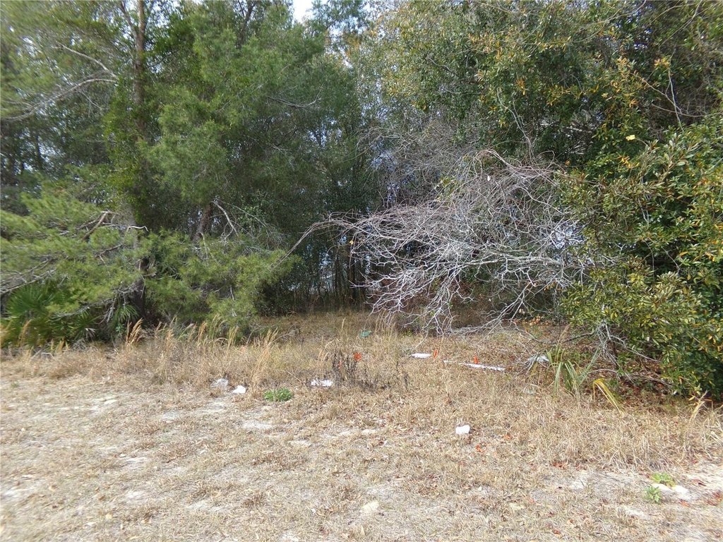 Picture 2