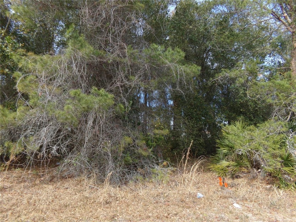 Picture 5