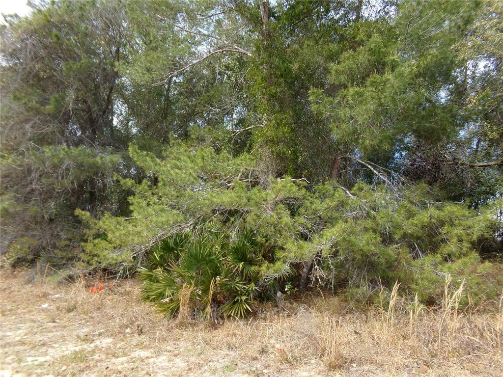 Picture 4