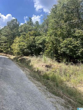 LAND/LOTS, CLANTON, AL