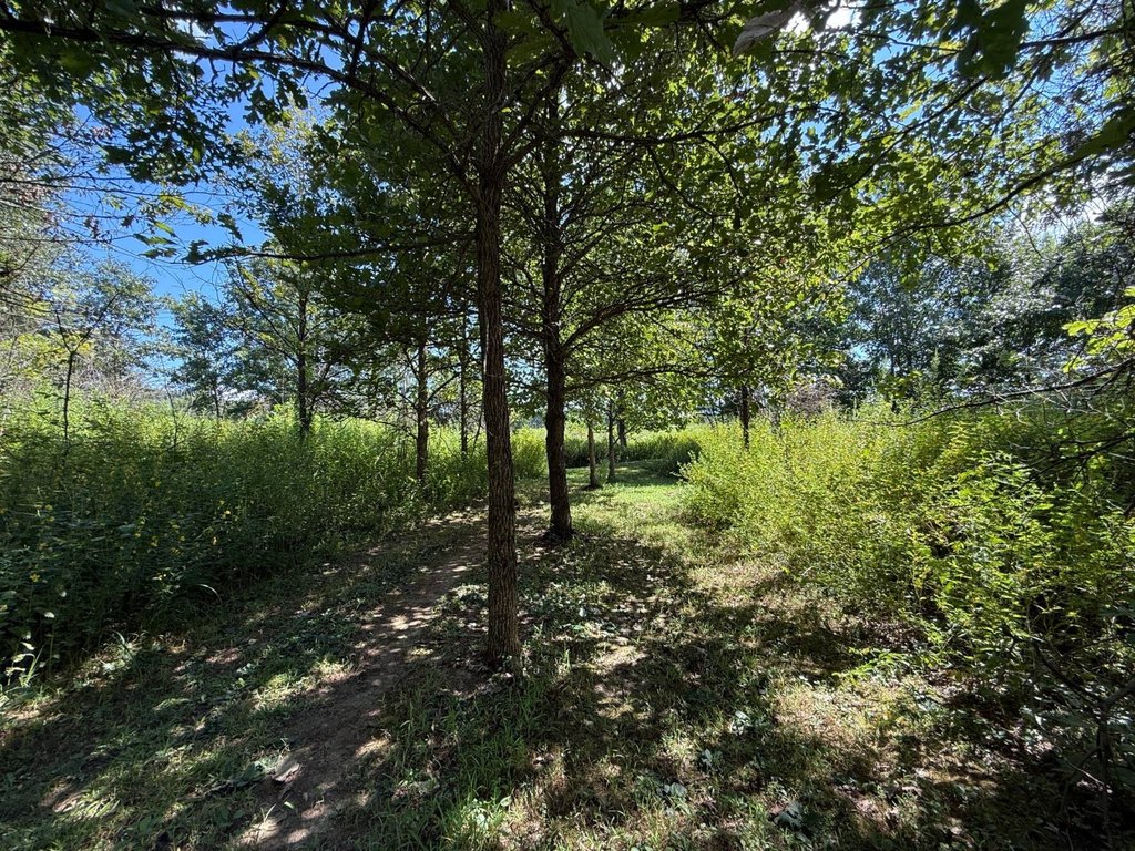 Picture 19