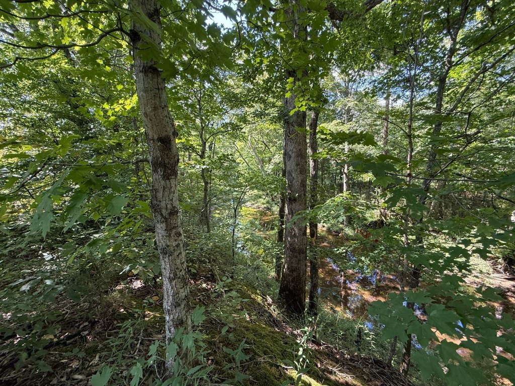 Picture 16