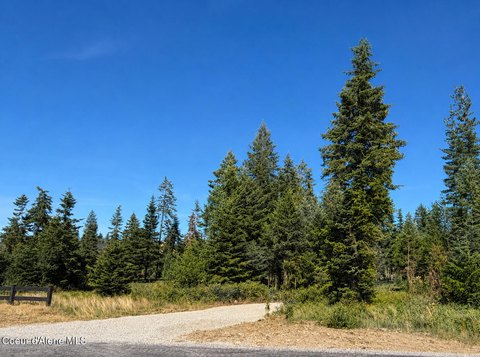 Treed Land in Luxury Community
