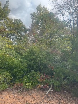Vacant Lot in Kingwood Estates