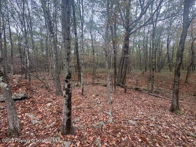 Recreational Land in Carbondale Township