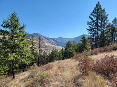 Recreational Hunting Land