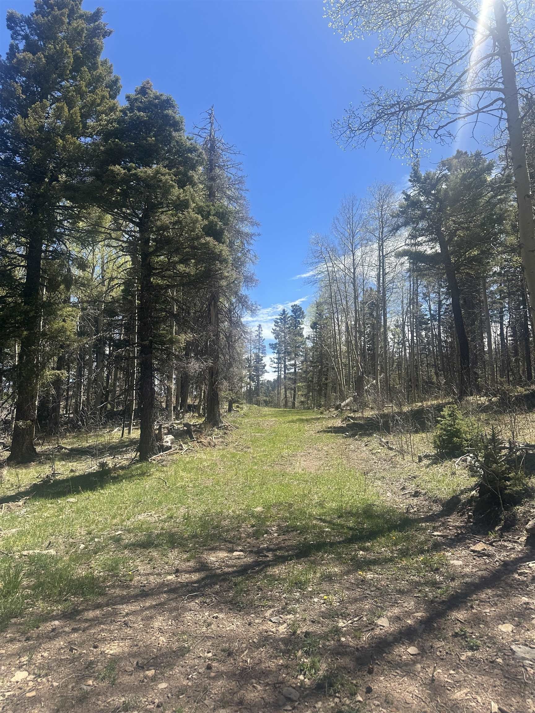 Angel Fire Land with Lake