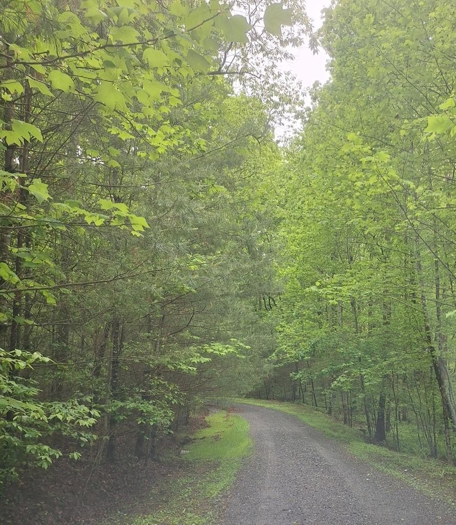 Blue Ridge Vacant Lot