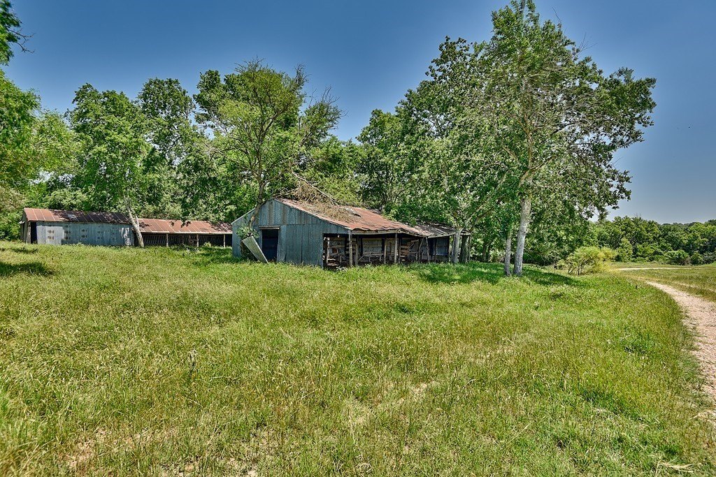 Picture 6