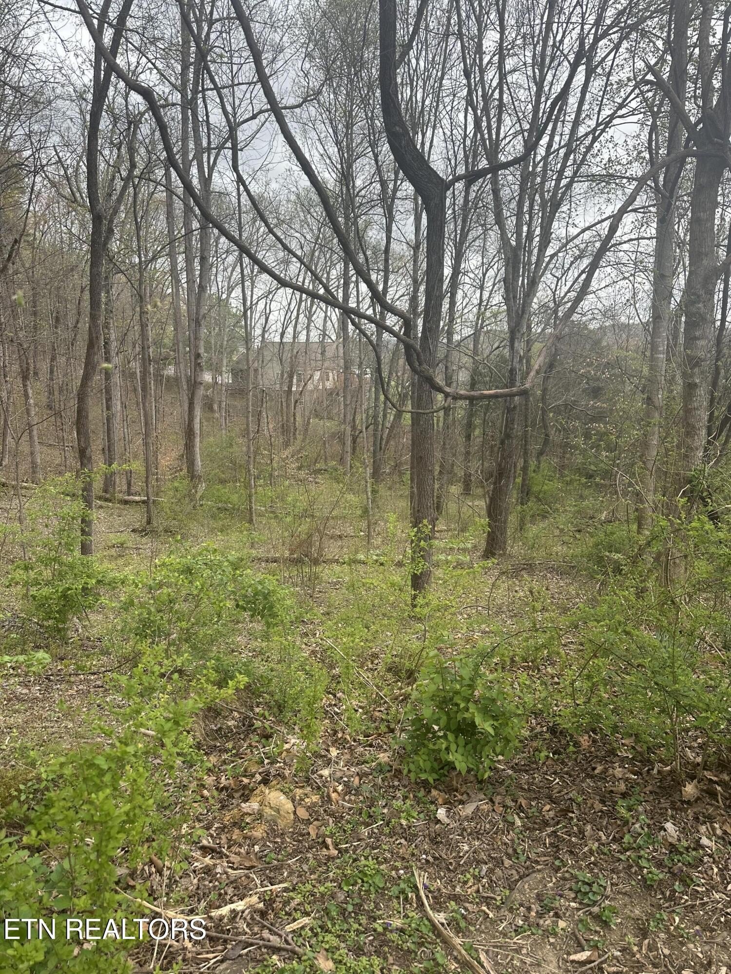 Residential Land in Seymour, TN
