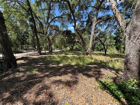 Land, DADE CITY, FL