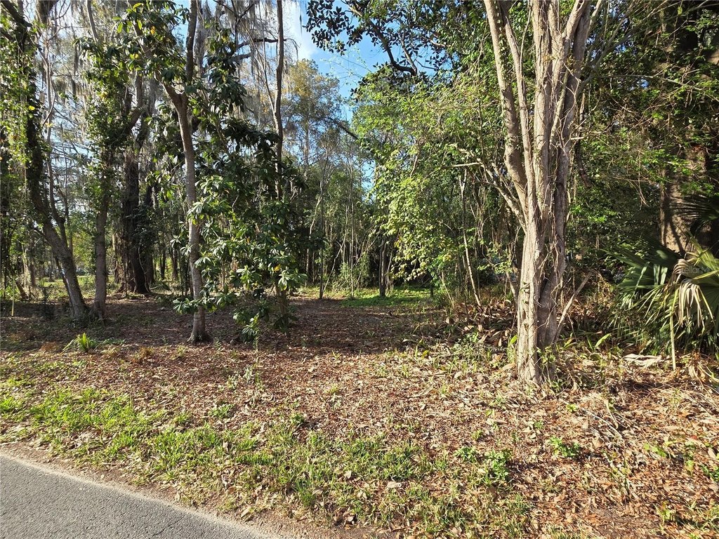Picture 6