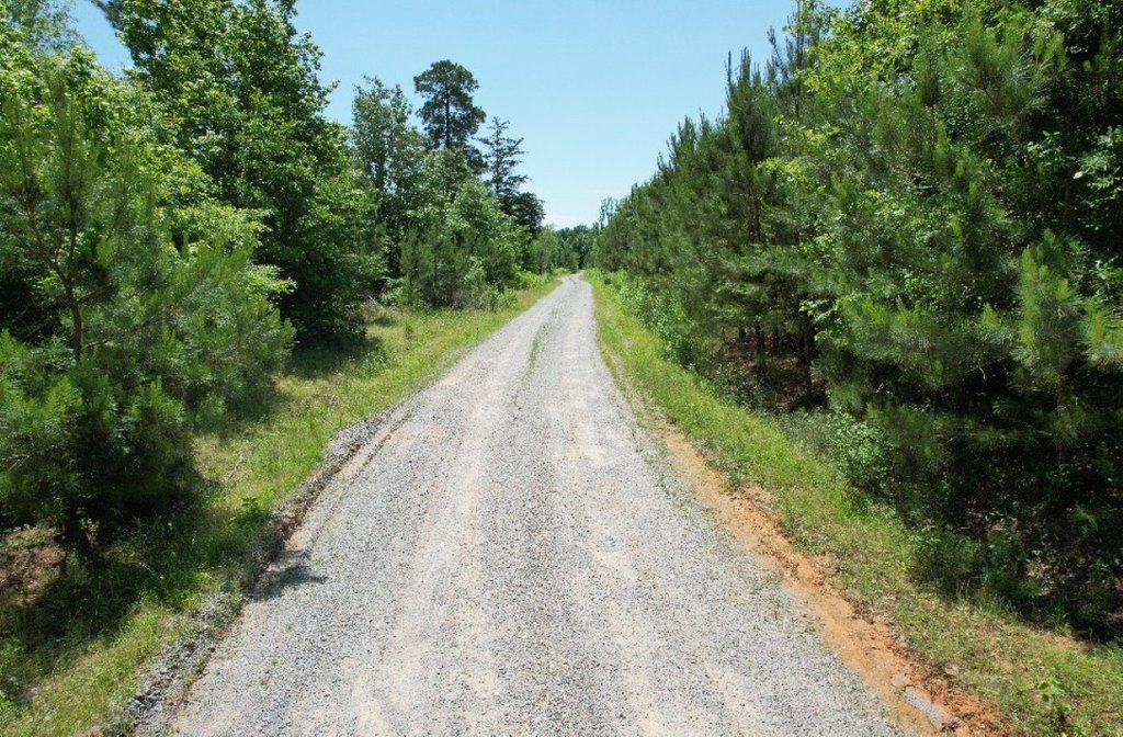 Picture 27
