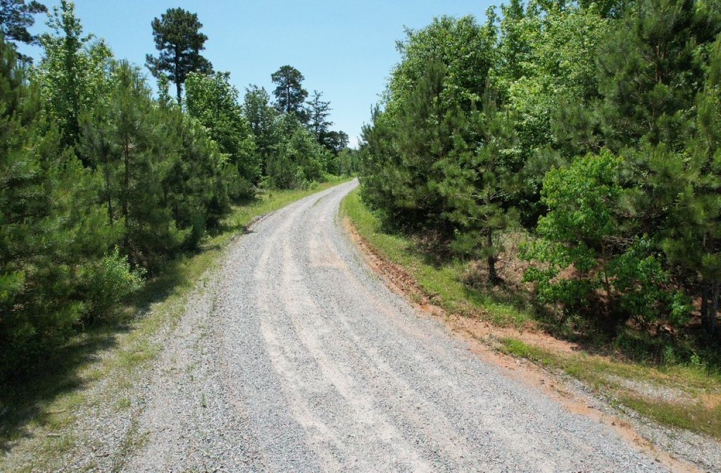 Picture 25