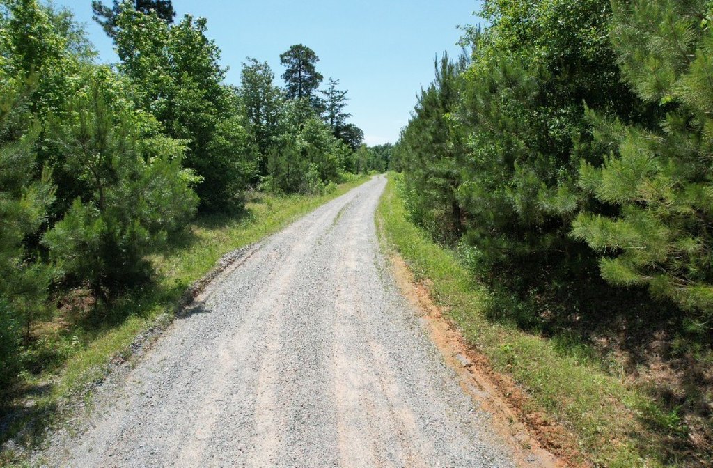 Picture 26