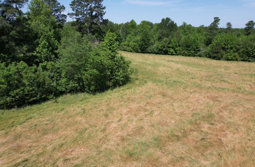 Picture 23