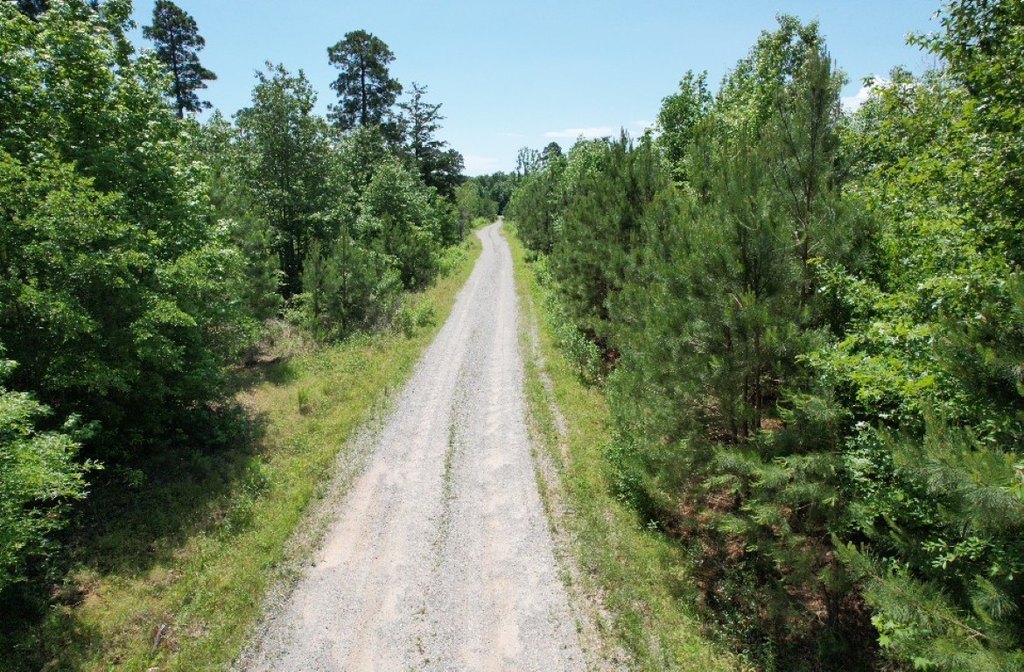 Picture 28