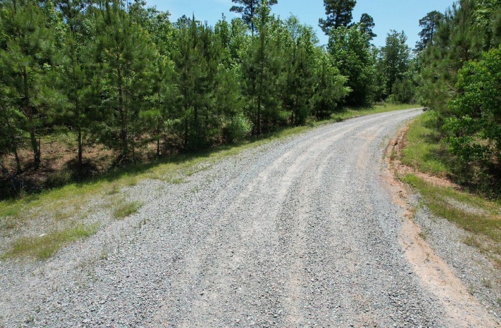 Picture 24