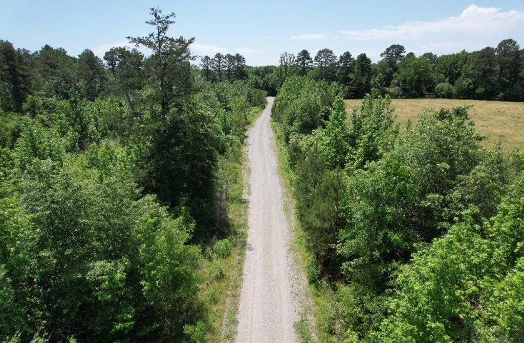 Picture 30