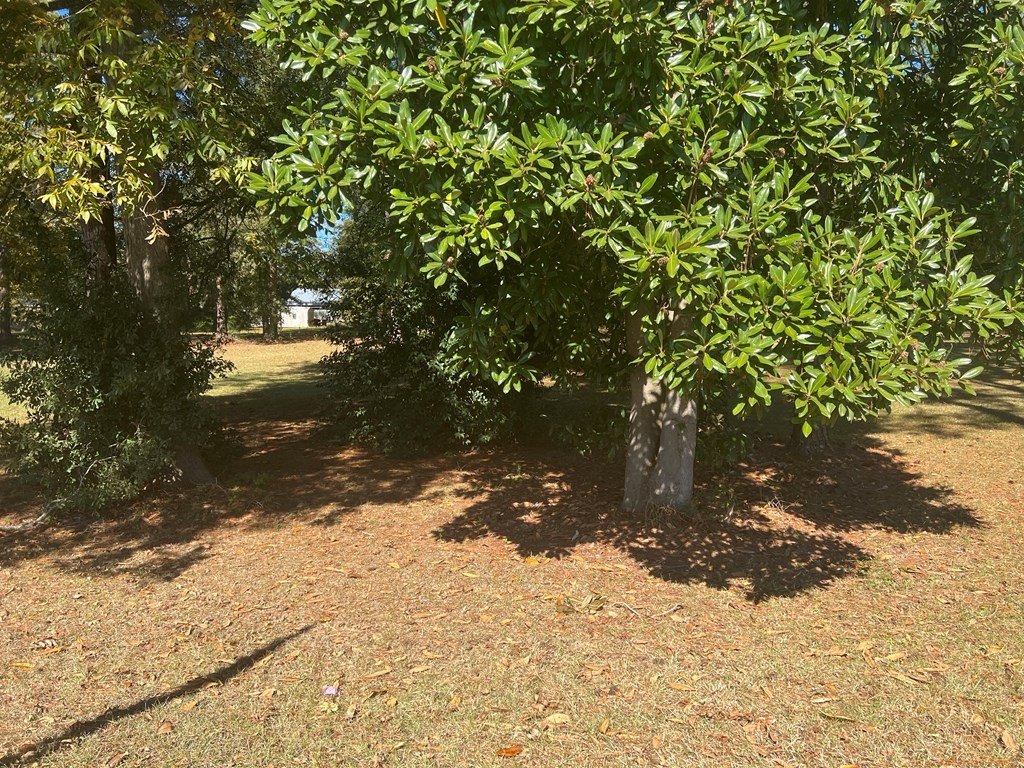 Picture 4