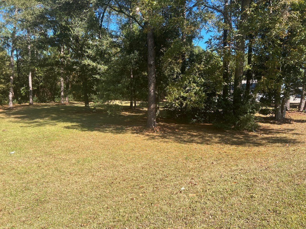 Picture 3