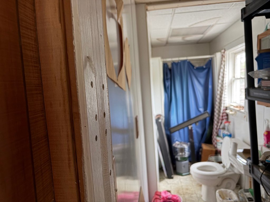 Picture 18