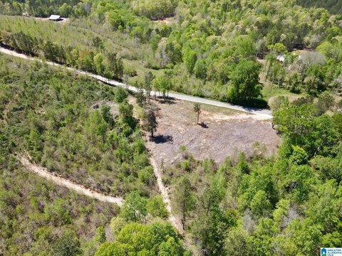 LAND - ASHLAND, AL