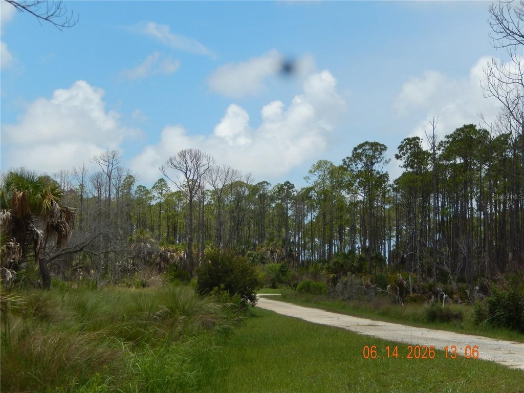 Picture 12