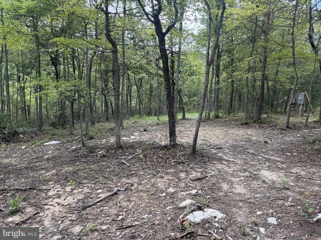 Picture 15