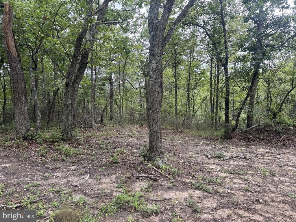 Picture 16