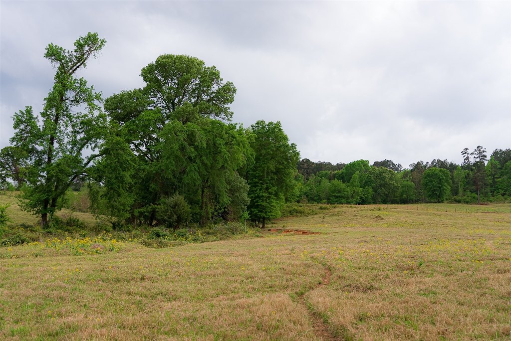 Picture 25