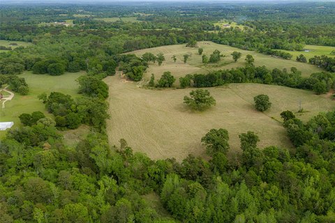 Improved Pasture with Pond and Views