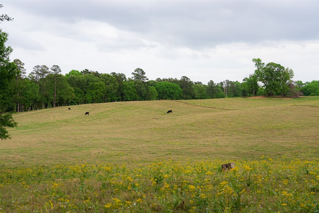 Picture 24