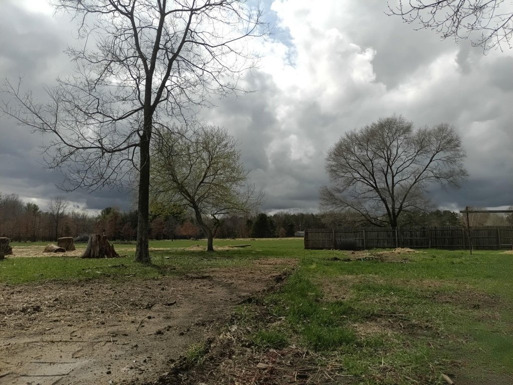 Picture 19