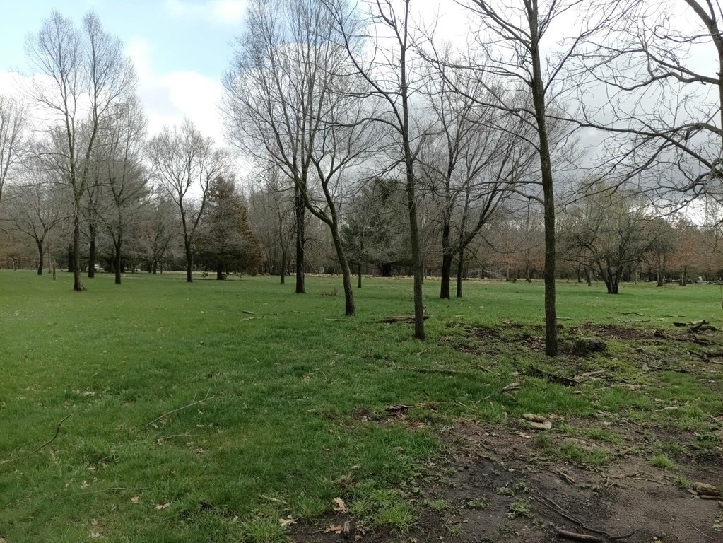 Picture 16