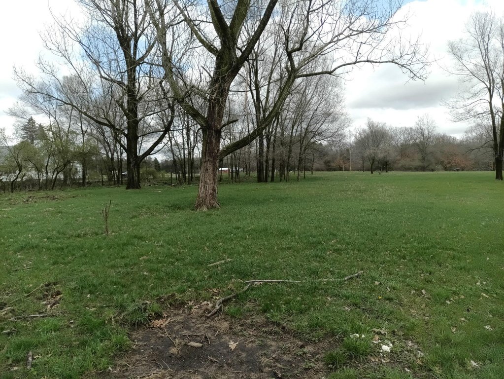 Picture 17