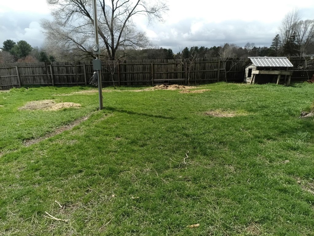 Picture 18