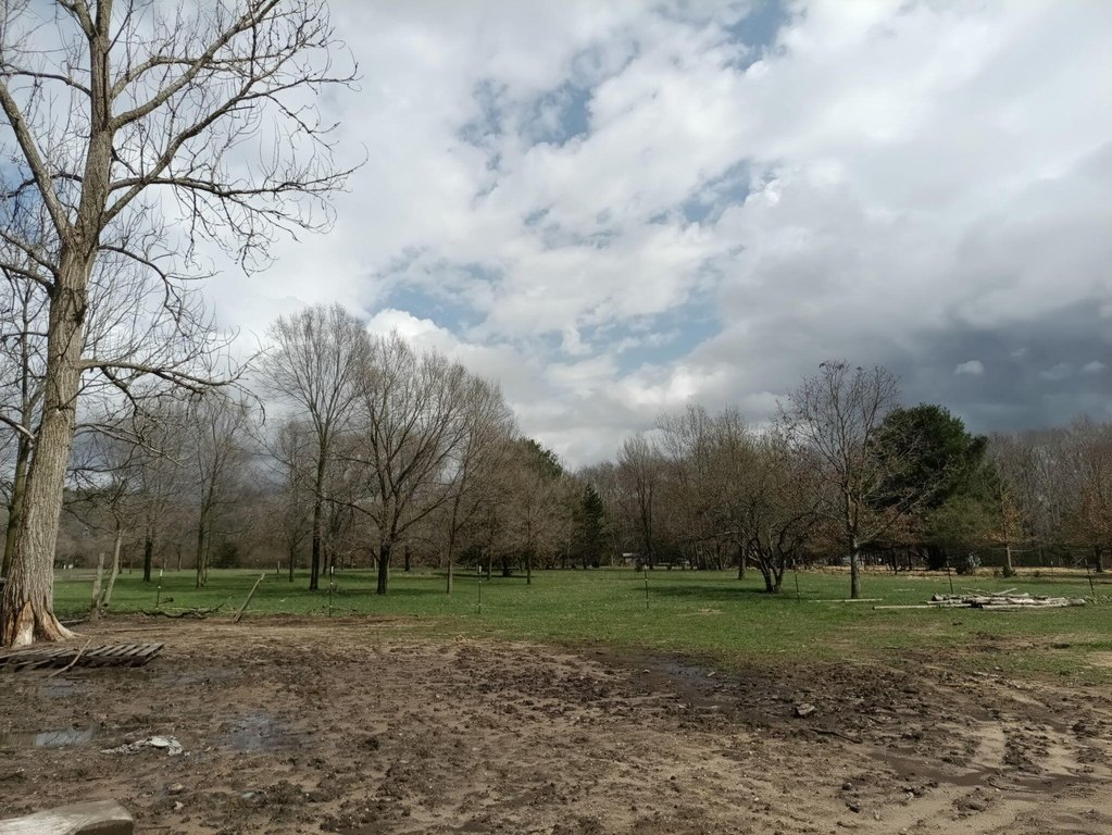 Picture 20