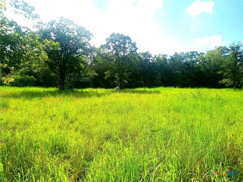 Tranquil 13 Acres in Waelder