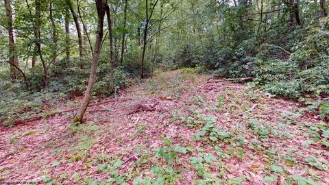 Lots/Land, Terra Alta, WV