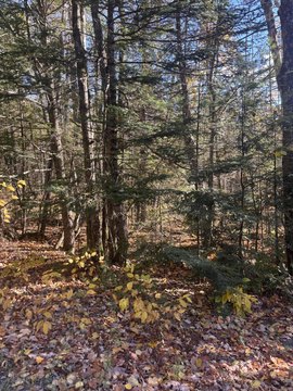 Land, Guilford, ME